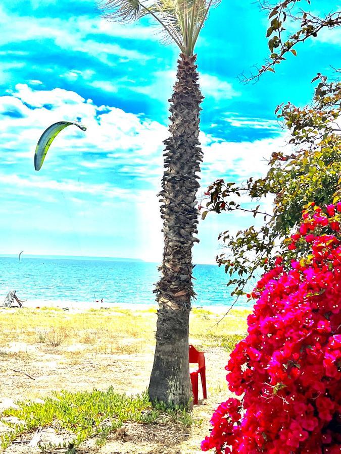 Windsurf Beach Front Torre Grande Exteriör bild